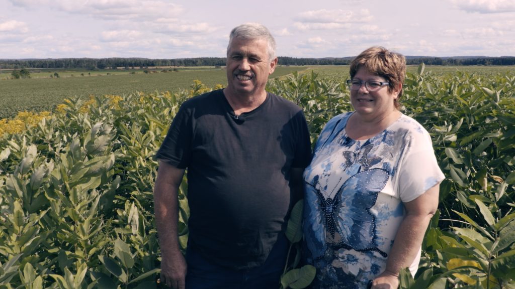 Soie du Québec asclépiade