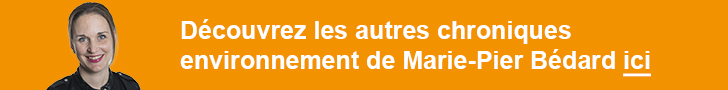 Marie-Pier Bédard