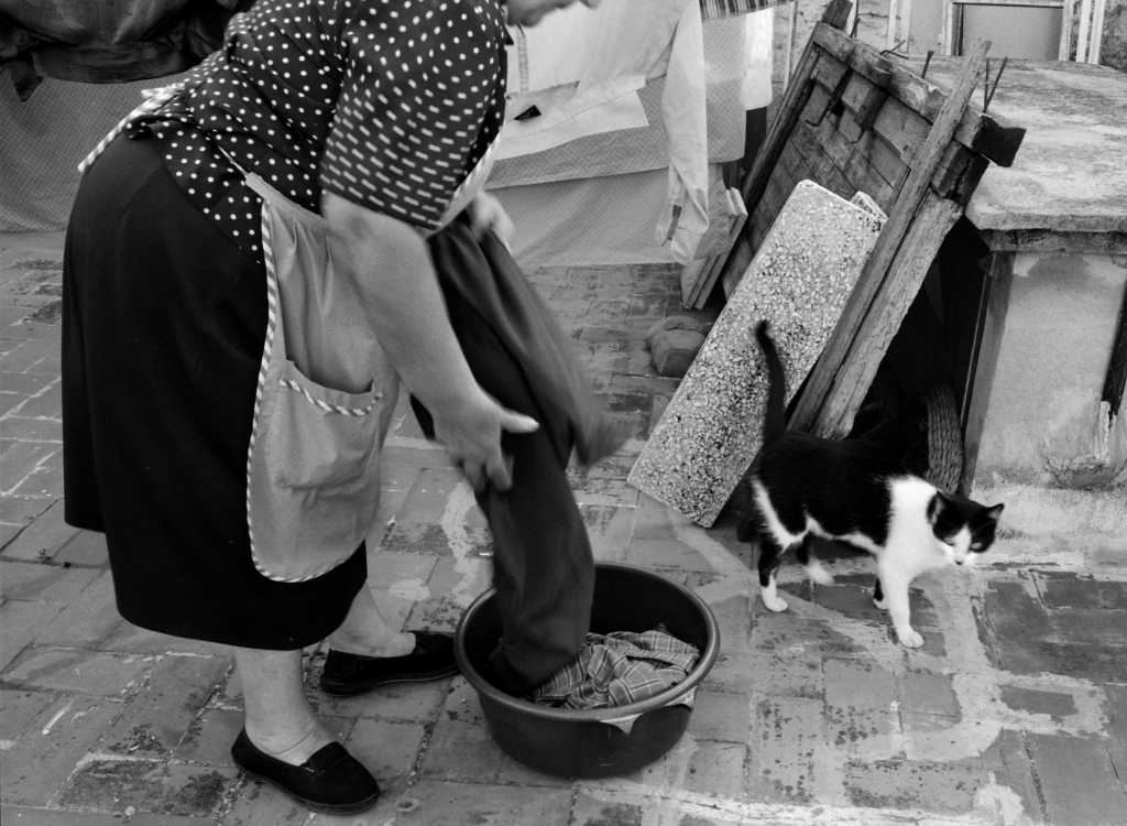 aide proche domestique